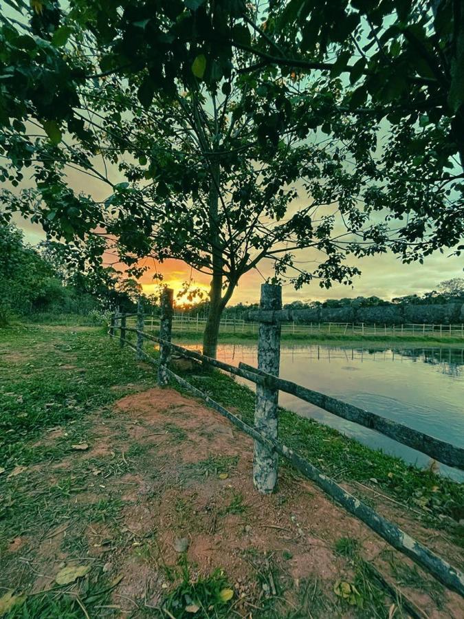 Agastya Lake View Coorg Madikeri Kültér fotó